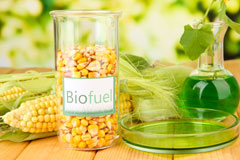 Green Hailey biofuel availability