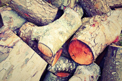 Green Hailey wood burning boiler costs